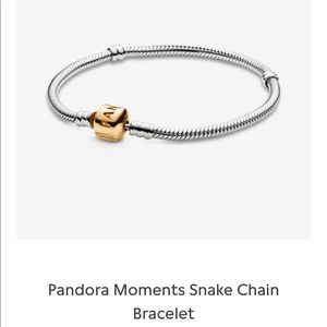 NWOT Pandora Two-Tone Charm Bracelet